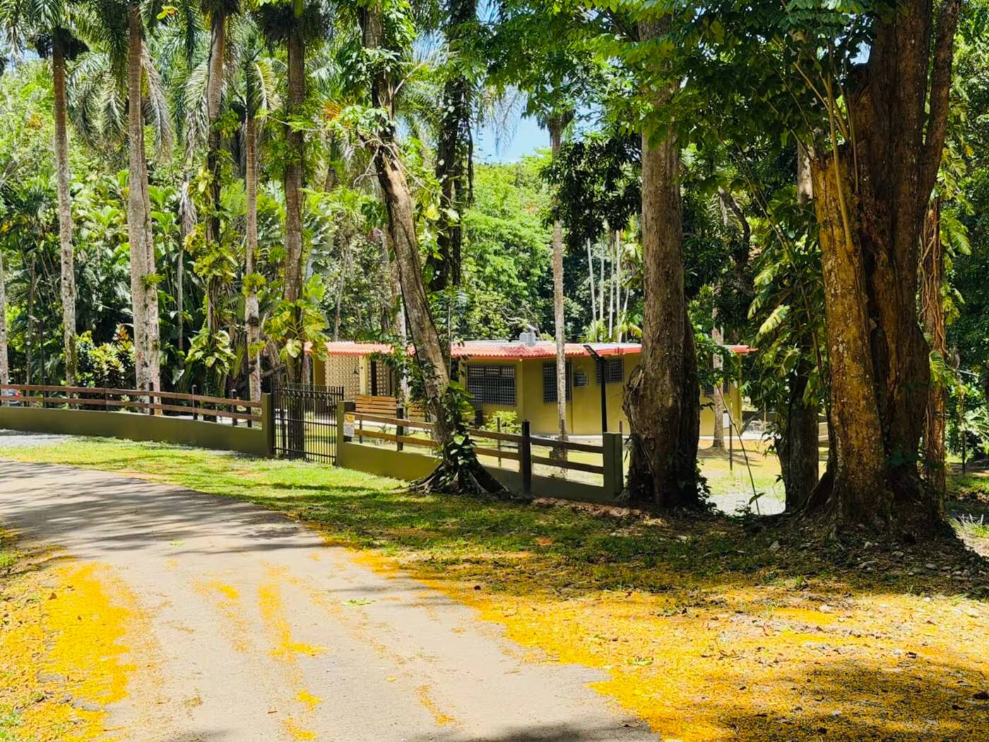 Casa Yuké front view surrounded by tropical trees