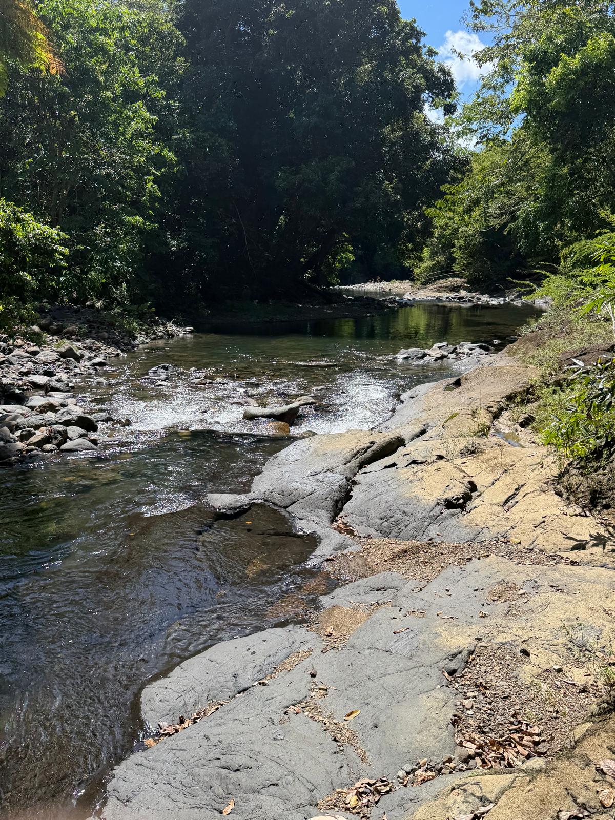 The Mameyes River — future River Cabins site