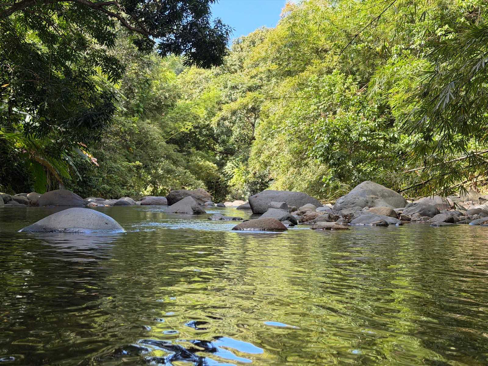 The Mameyes River at Hacienda Yuké, future site of five riverside cabins